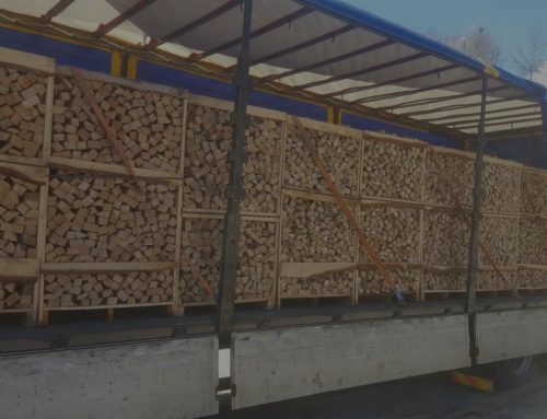 Firewood – Premium